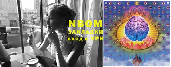 стафф Алексеевка